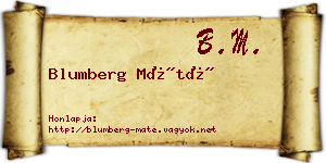 Blumberg Máté névjegykártya