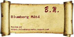 Blumberg Máté névjegykártya